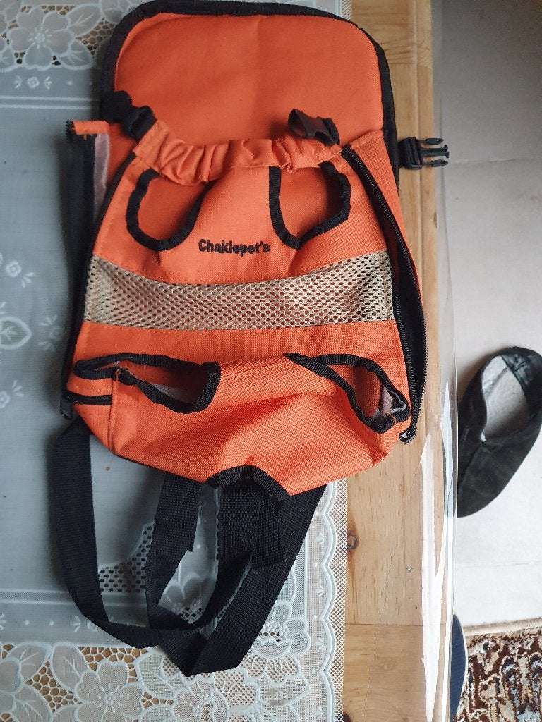 Kat Draagtas, Dieren en Toebehoren, Ophalen, Nieuw