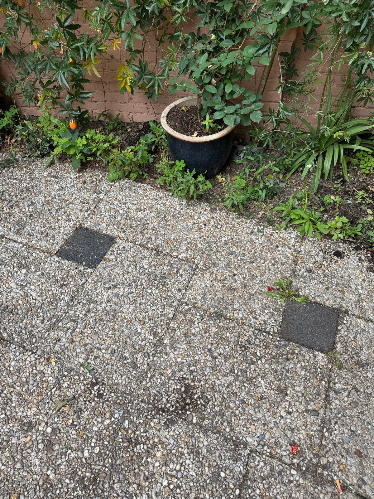 Gratis Boheemse terrastegels 18m2 (60x40x5 en 20x20x5), Tuin en Terras, Ophalen, Gebruikt, 10 m² of meer, Beton