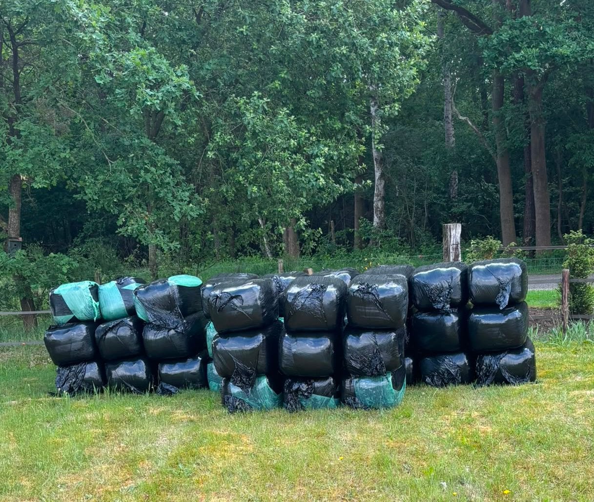 Te koop verpakt paardenhooi kleine balen, Ophalen of Verzenden, Overige soorten