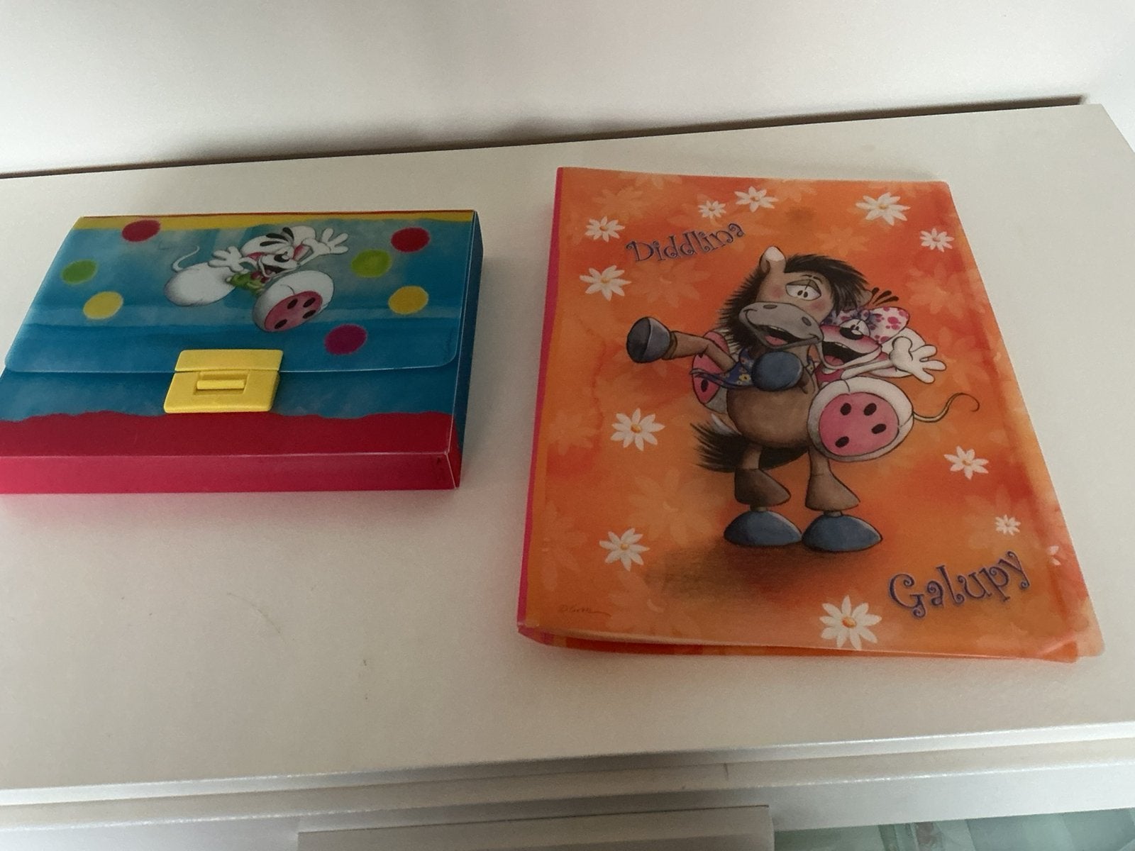 Diverse mapjes bewaarhoesjes van diddl, Verzamelen, Ophalen of Verzenden, Zo goed als nieuw, Papier, Kaart of Schrift