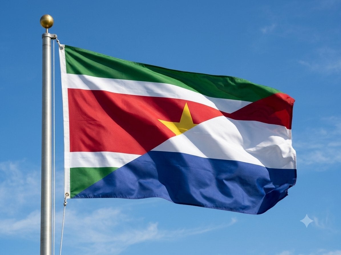Unieke vlag combinatie Suriname / Nederland, Diversen, Ophalen of Verzenden, Zo goed als nieuw