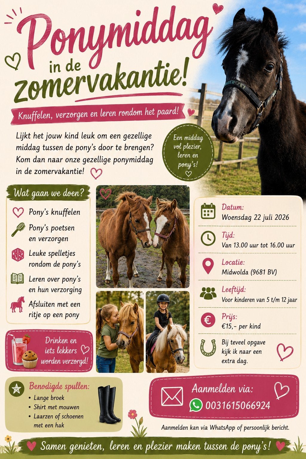 Ponys poetsen in de zomer, Ophalen