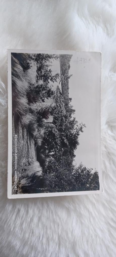 Oude Ansichtkaart: Boschvijver, Amersfoort (1920-1940), Ophalen of Verzenden, 1920 tot 1940, Gelopen, Utrecht