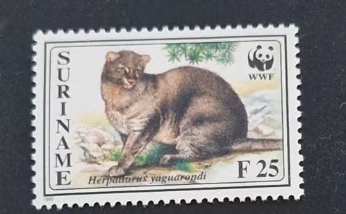 Suriname 1995 -  ZB 844 - Bedreigde Dieren -Jaguarundi , Postzegels en Munten, Ophalen of Verzenden, Postfris