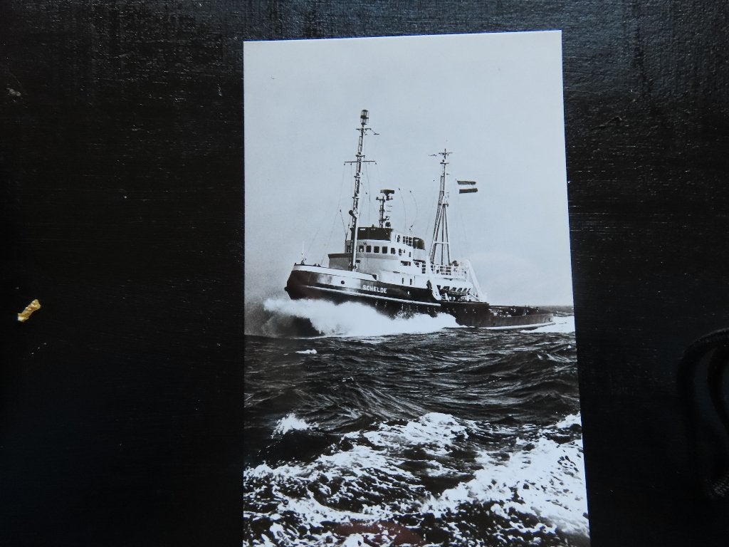 ansichtkaart sleepboot "Schelde" Smit & co, Ophalen of Verzenden, Gebruikt, Motorboot, Kaart, Foto of Prent