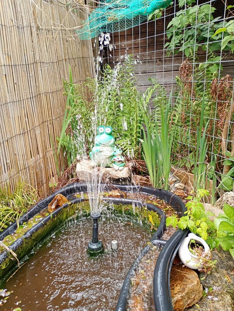 Kleine vijver,gratis ophalen, Tuin en Terras, Vijvers, Ophalen of Verzenden, Gebruikt
