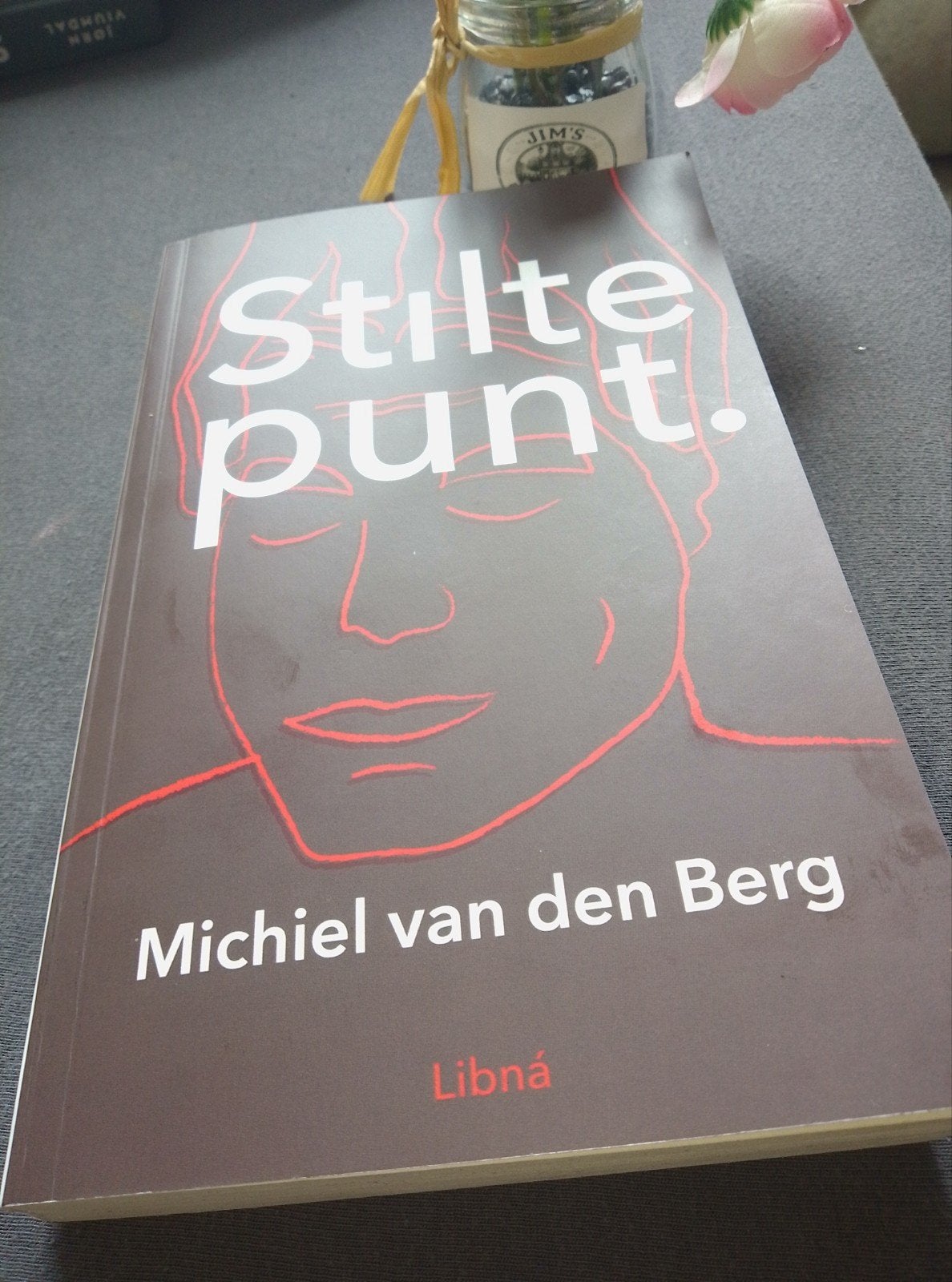 Stiltepunt - Michiel van den Berg (Libná), Ophalen of Verzenden, Zo goed als nieuw, Michiel van den Berg, Nederland