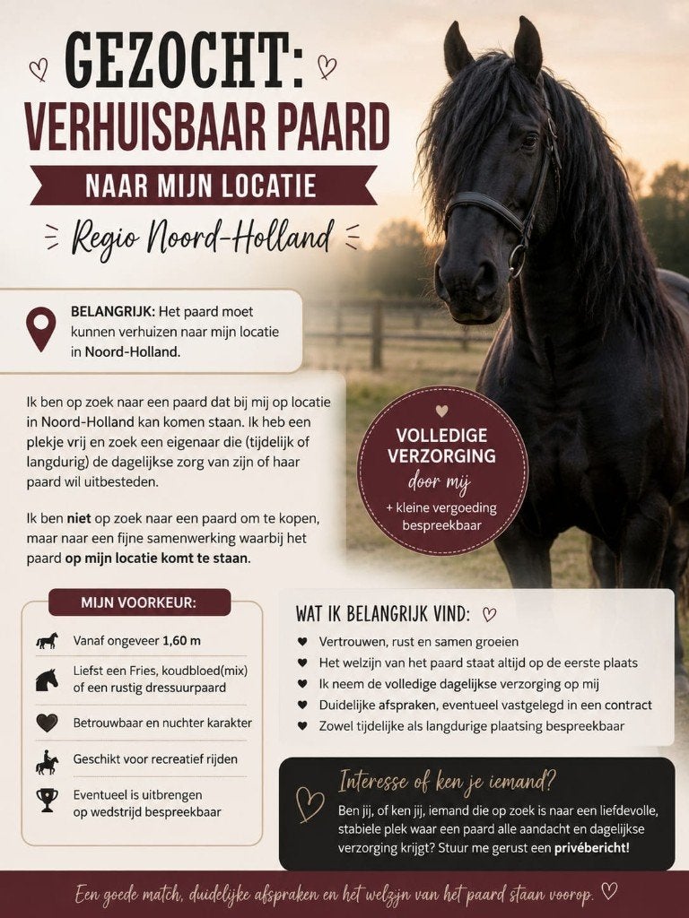 paard gezocht