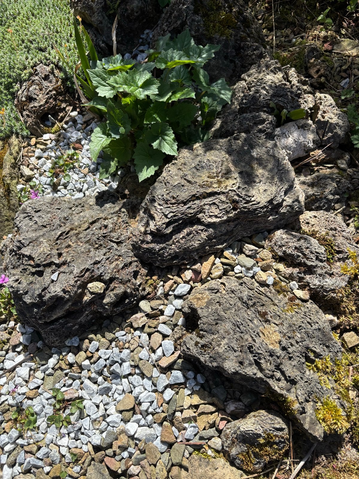Lavasteen voor tuin en vijver - diverse maten, Ophalen, Gebruikt, Kei, Lava