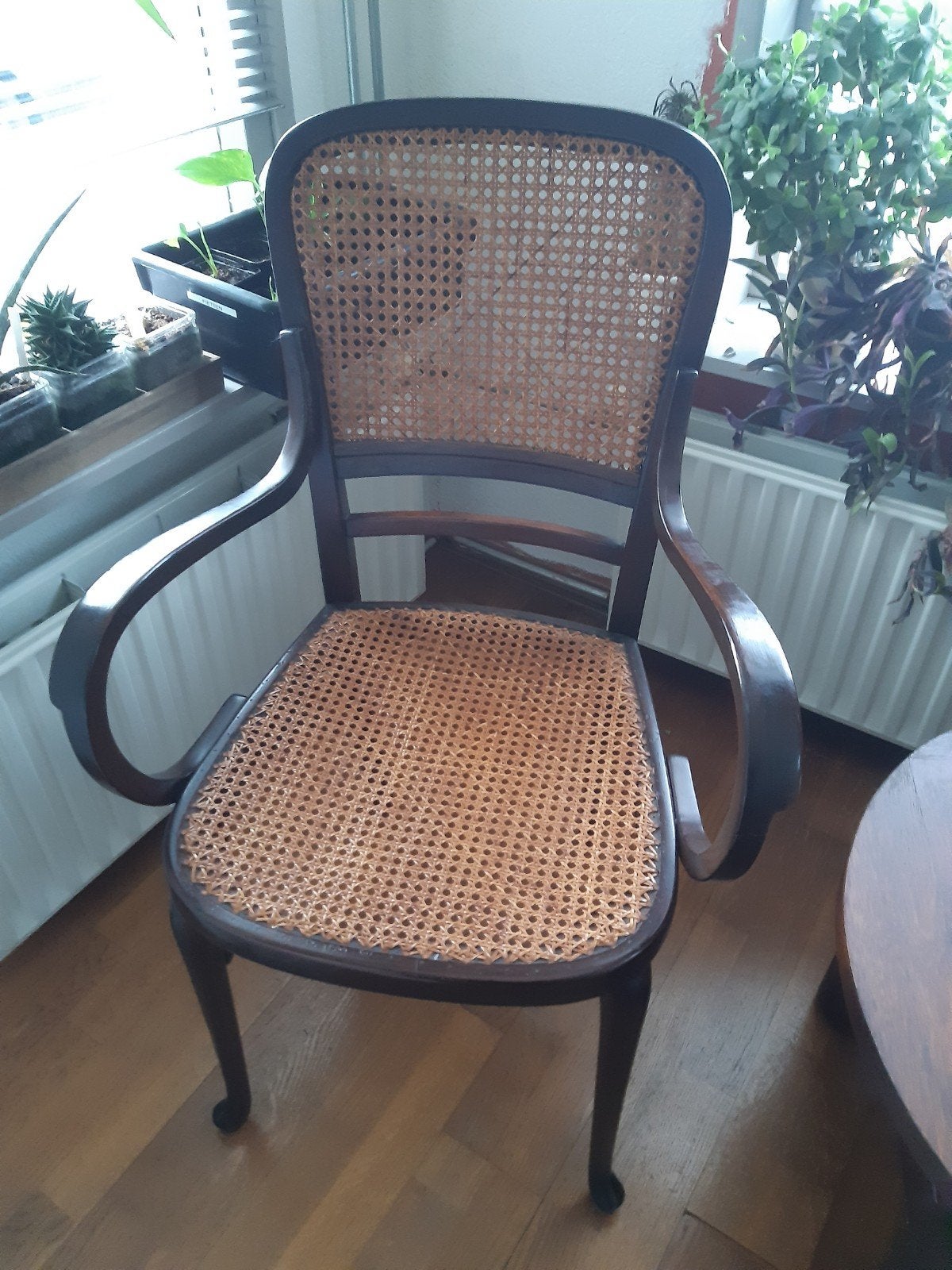 Thonet stoel, Ophalen, Bruin, Thonet, Zo goed als nieuw