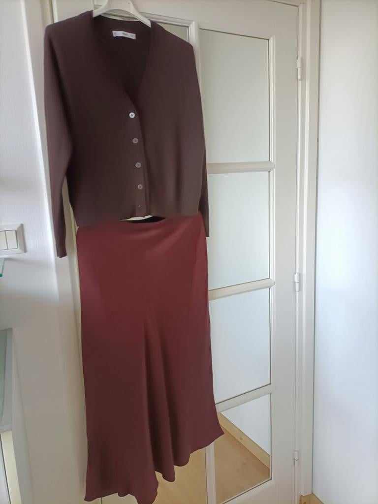 een set van een vest Mango mS, rok Zara mS, Ophalen of Verzenden, Zo goed als nieuw, Maat 38/40 (M)