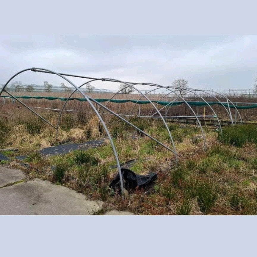 Gebruikte Foliekas Tunnel - 12 Bogen (4,5m breed, 2m hoog), Ophalen, Glas, Gebruikt