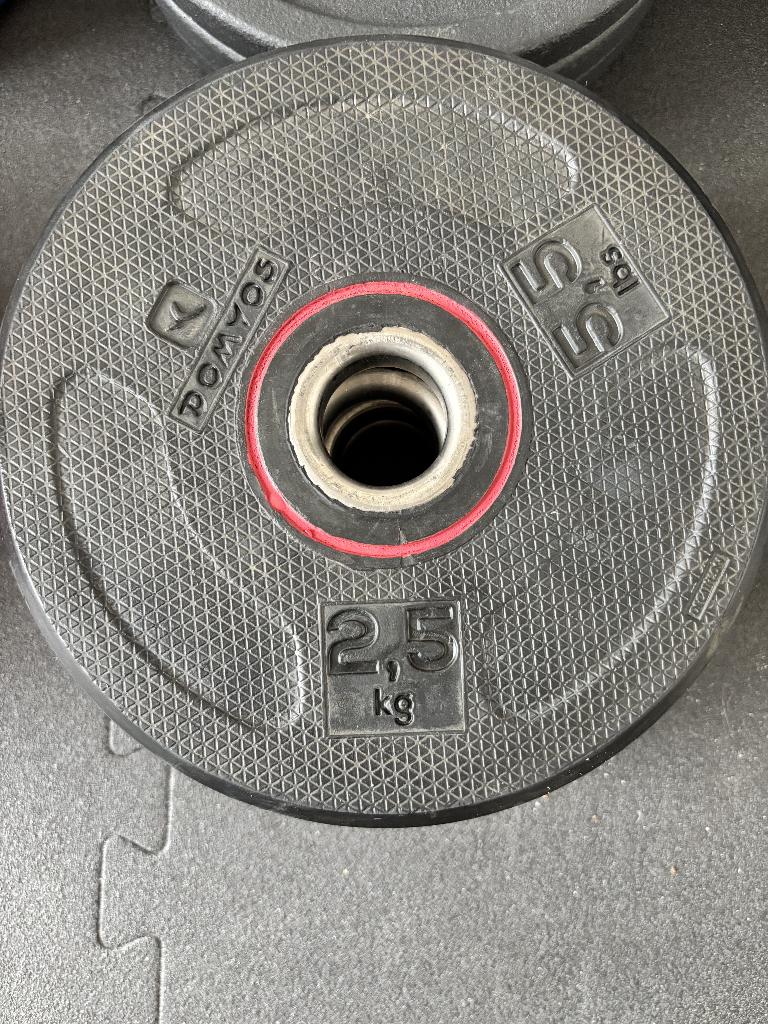 halterschijf 2,5 kg, Ophalen, Zo goed als nieuw, Halterschijven