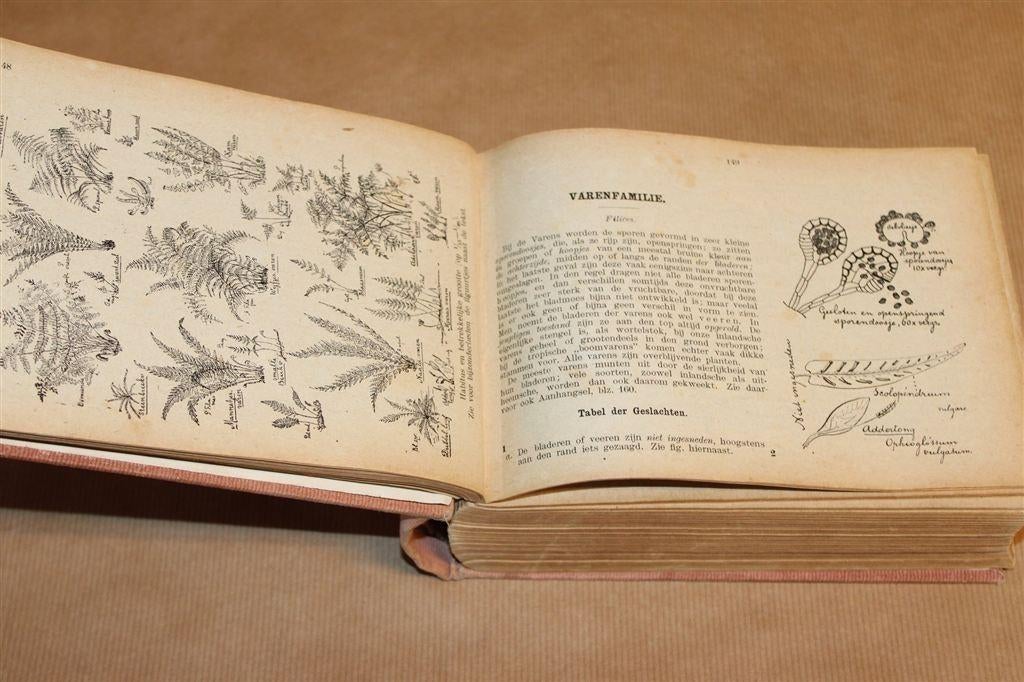 Geïllustreerde Flora van Nederland [1920] —Heimans & Thijsse, Ophalen of Verzenden, Gelezen, Bloemen, Planten en Bomen