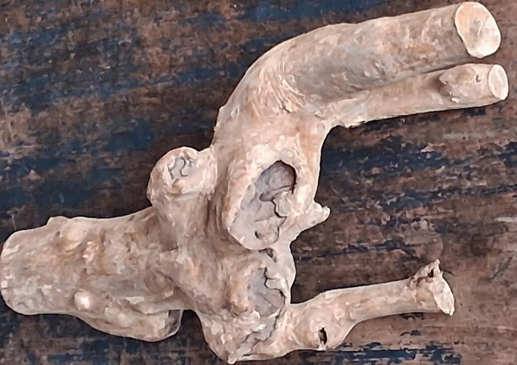 Drijfhout sculptuur. Versteend.  45 cm., Verzamelen, Overige Verzamelen, Gebruikt, Ophalen
