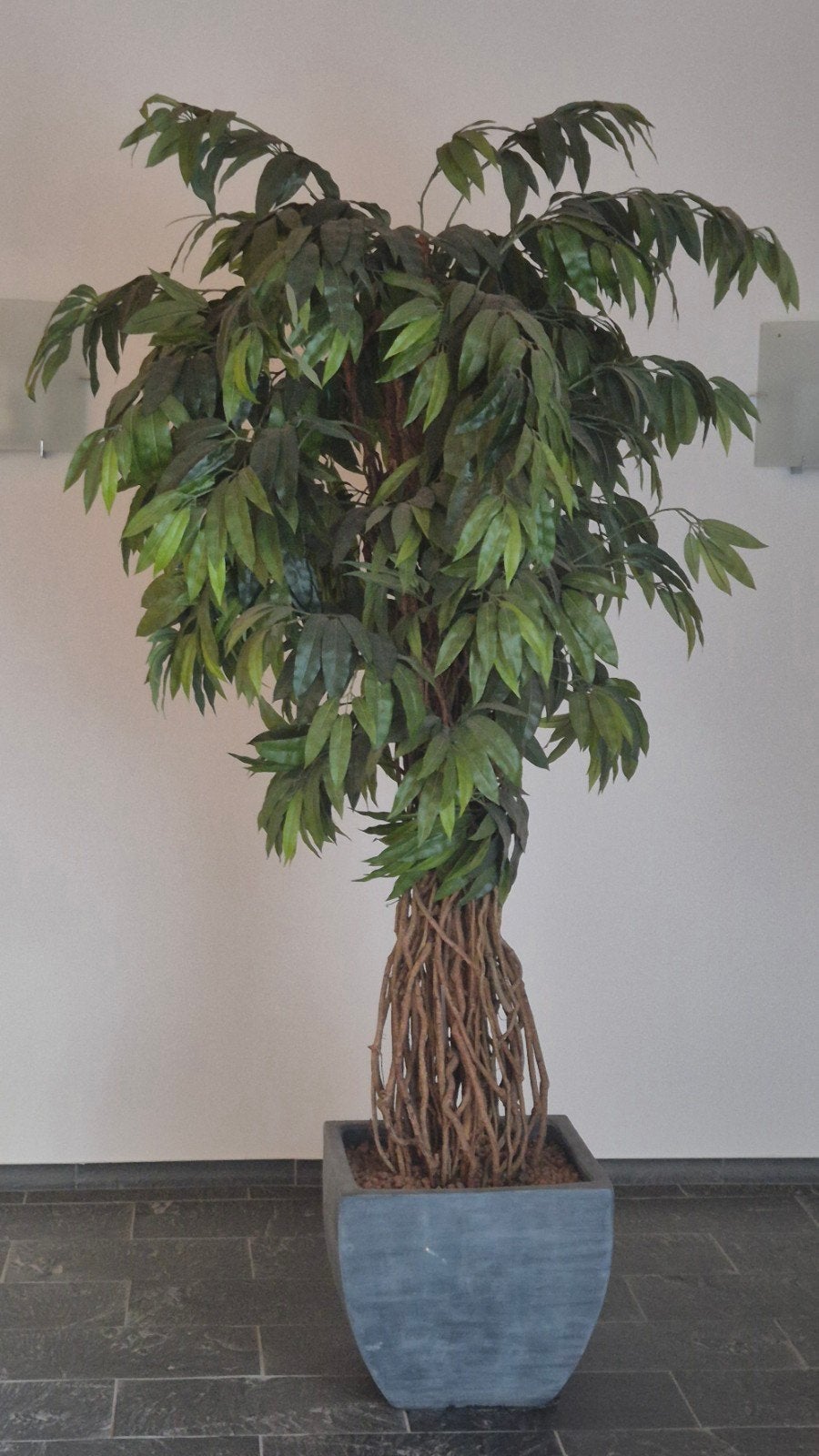 Zijden Mango Boom - 2 meter hoog, onderhoudsvrij, Ophalen, Binnen, Groen, Kunstplant