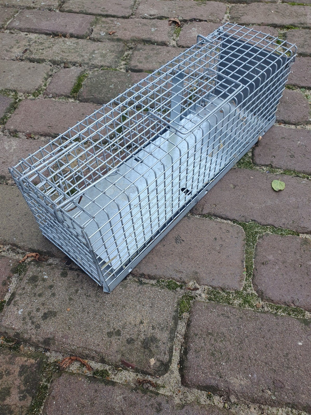 kooi om ongedierte te vangen en vervoeren, Dieren en Toebehoren, Knaagdieren en Konijnen | Hokken en Kooien, Minder dan 60 cm