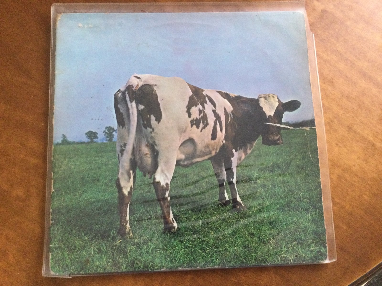 LP Pink Floyd, Cd's en Dvd's, Ophalen of Verzenden, Gebruikt, 12 inch, Progressive Rock