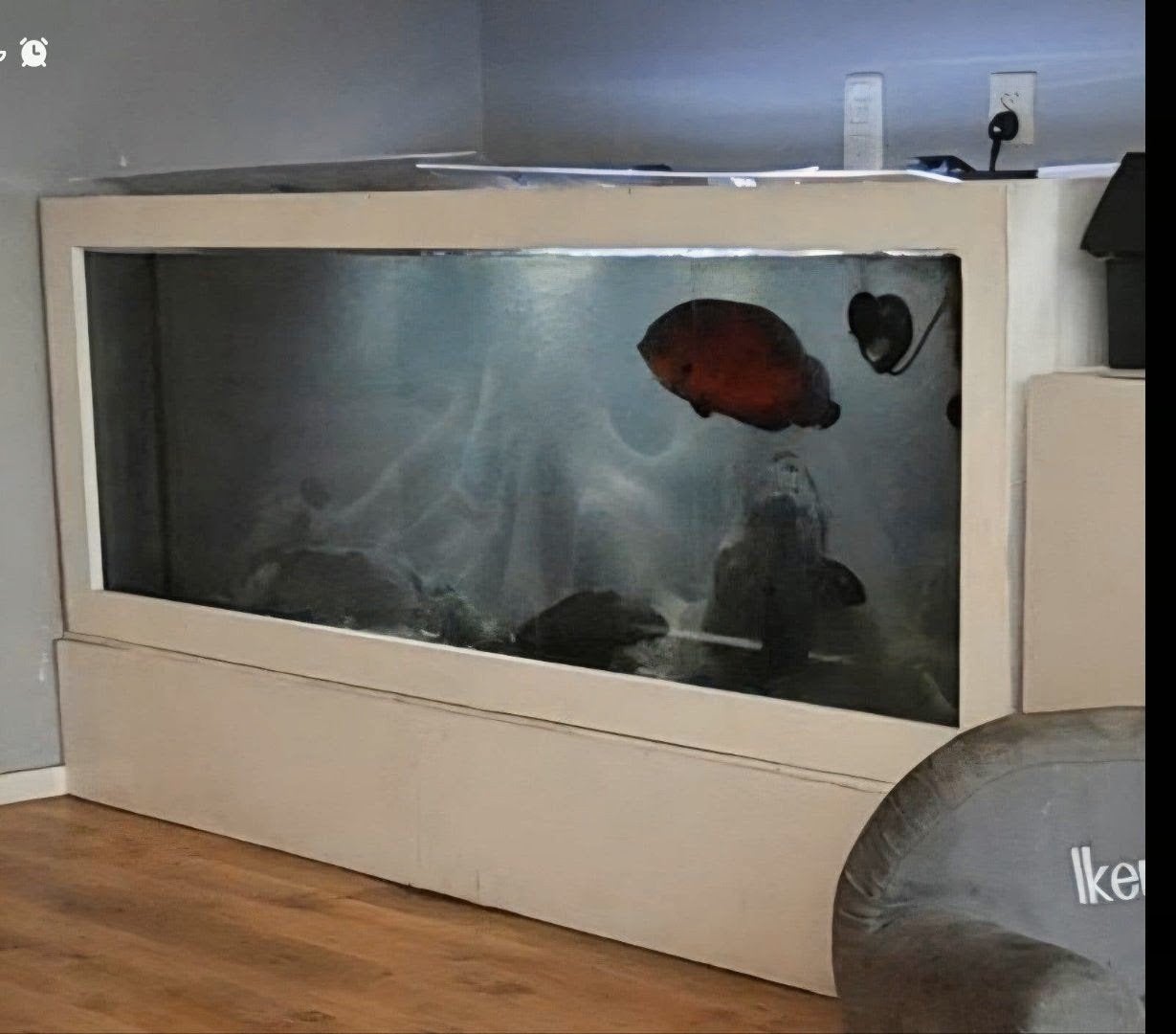 Gratis compleet aquarium 200x50x50, Ophalen, Verwarming, Gebruikt, Leeg aquarium