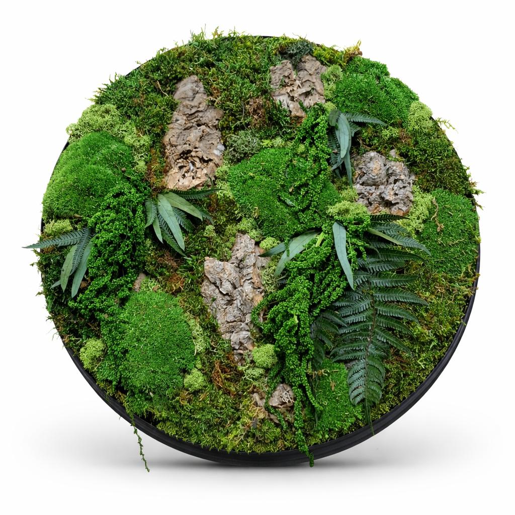 Mosschilderij | Jungle (diameter 50cm), Ophalen, Nieuw