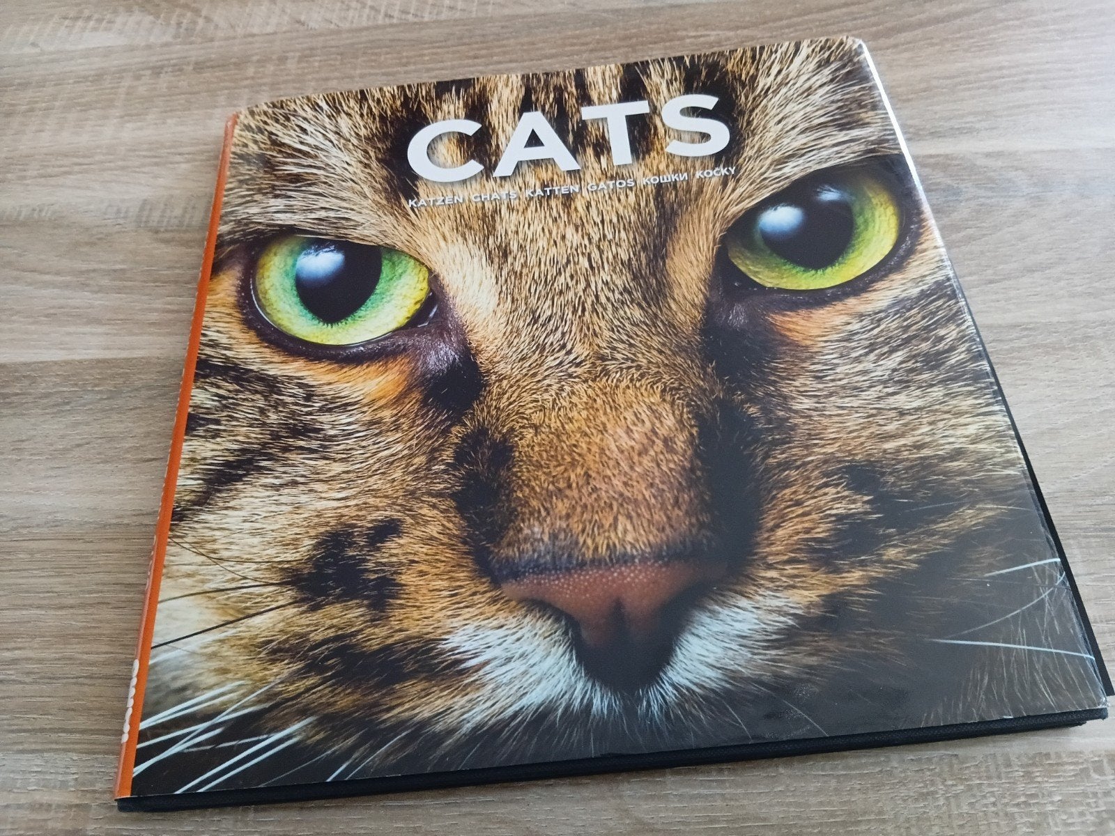 CATS, Boeken, Dieren en Huisdieren, Ophalen, Zo goed als nieuw, Katten