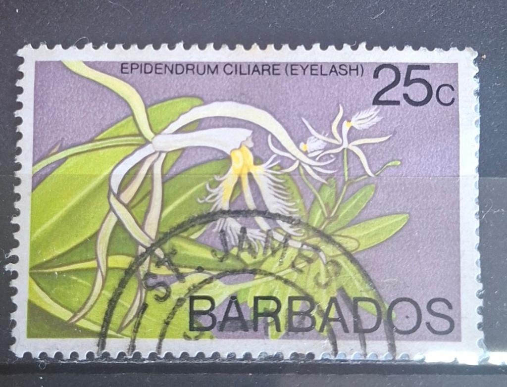 Barbados Postzegel (B2-P16), Ophalen of Verzenden, Gestempeld, Midden-Amerika