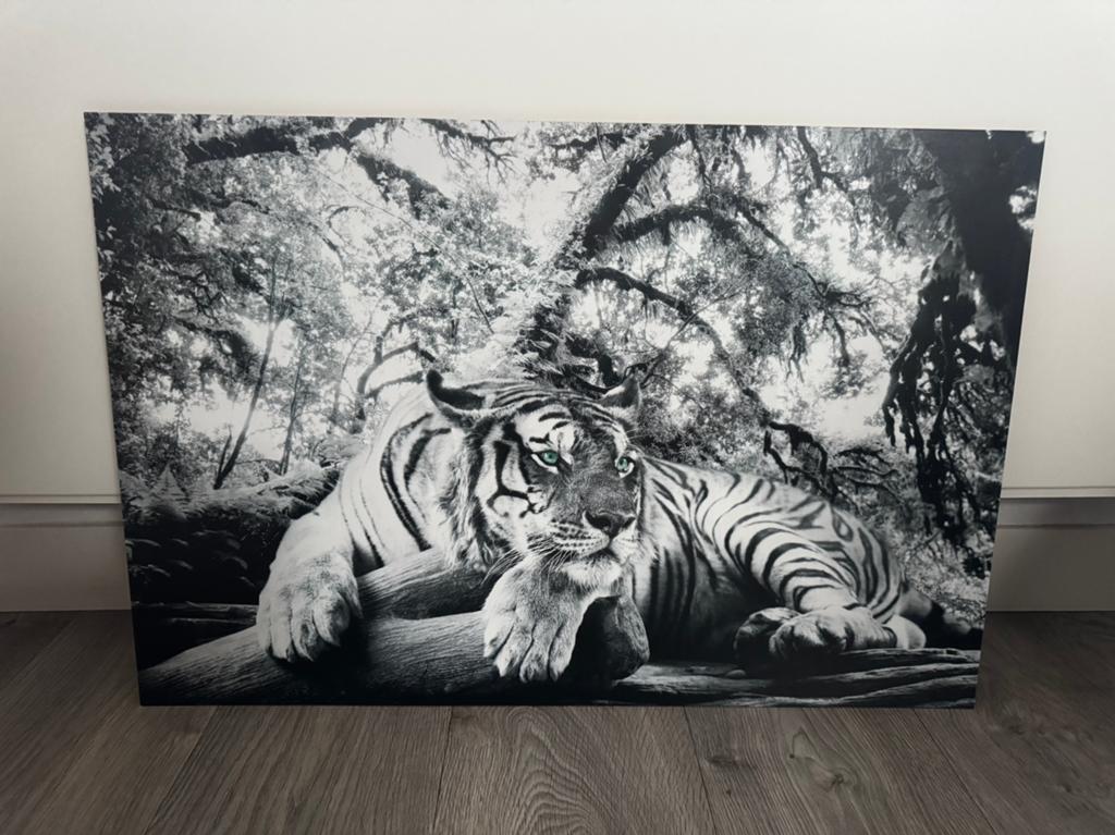 Foto schilderij, Ophalen, 50 tot 75 cm, Zo goed als nieuw, Schilderij