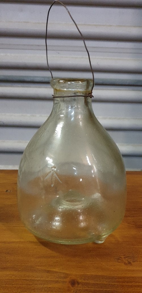 insecten val glas hanger, Ophalen of Verzenden, 'T Olde Gre-j, Info@toldegrej.nl, Endepoelstraat 20f Didam