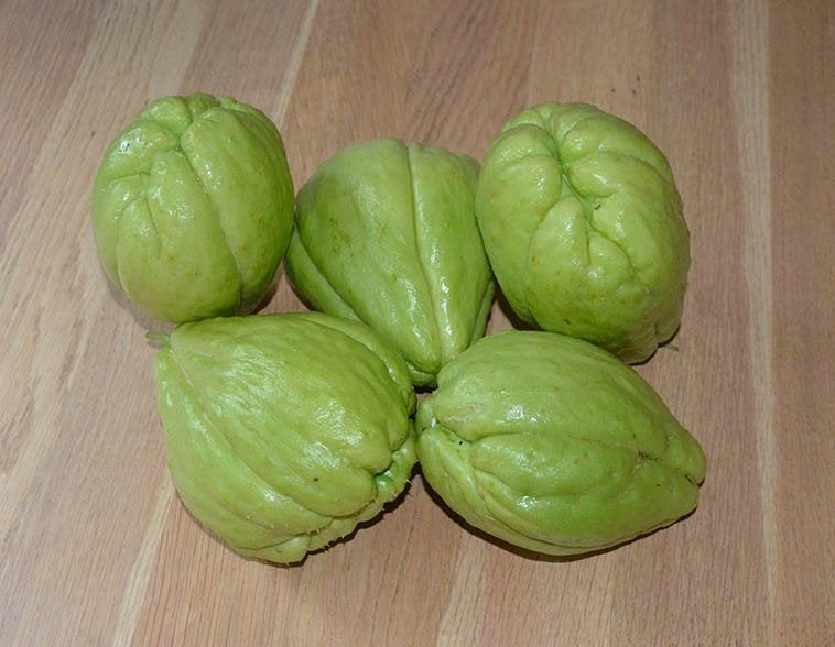 Grote biologische chayote ofwel labusiam, Ophalen of Verzenden, Eenjarig, Groenteplanten, Volle zon