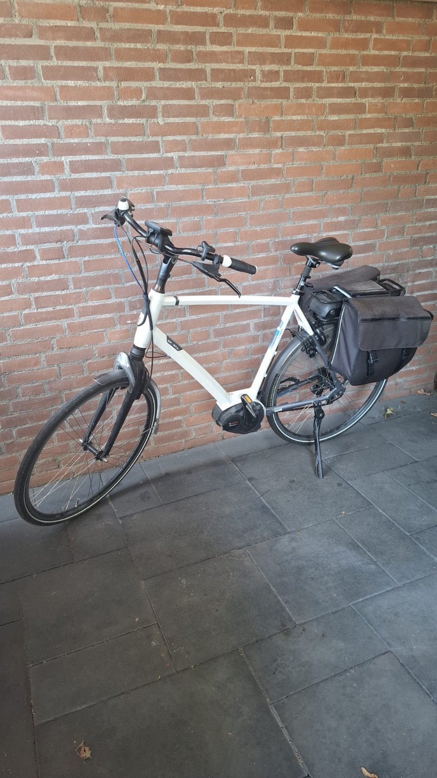 Sparta heren e-bike (61 cm) met Hapro fietsendrager, Fietsen en Brommers, Fietsen | Heren | Herenfietsen, 61 tot 65 cm, Ophalen