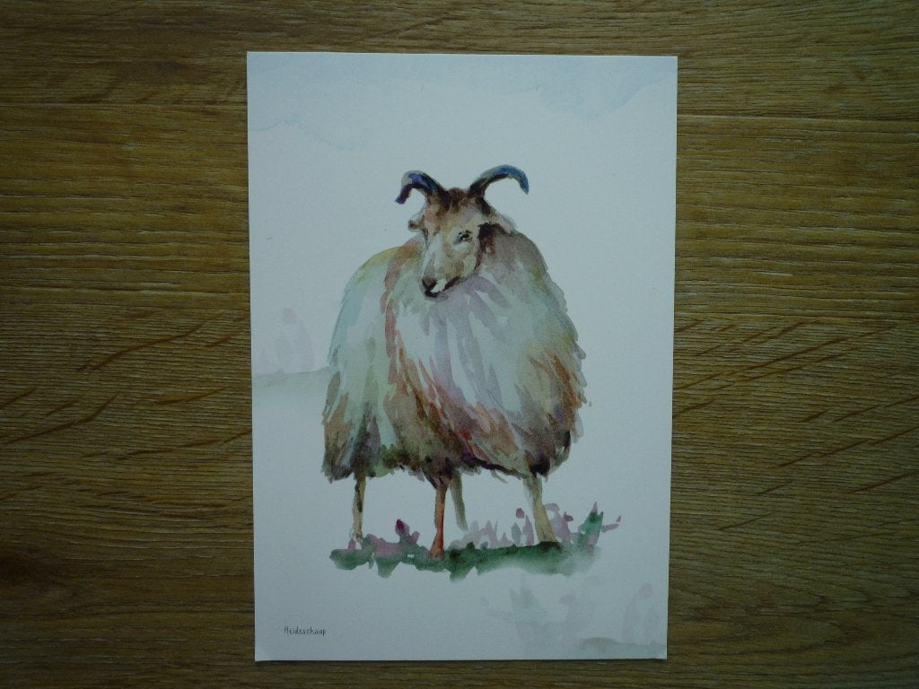 Heideschaap schaap door Michelle Dujardin Dwingelderveld, Verzamelen, Ophalen of Verzenden, Voor 1920, Hond of Kat