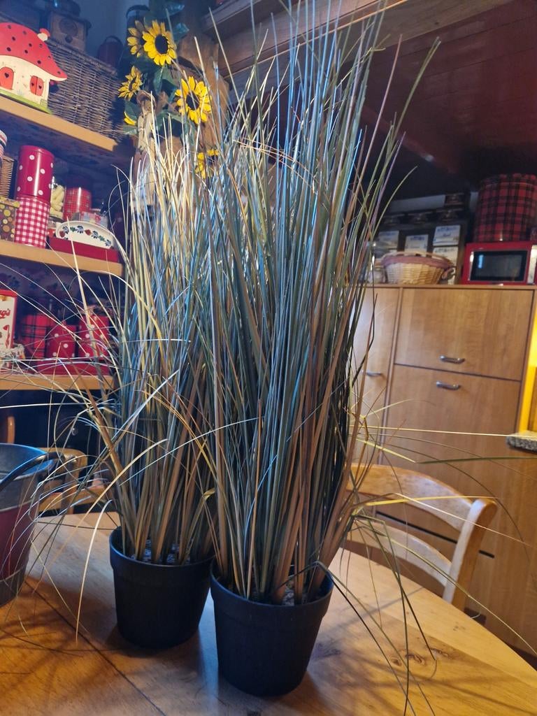 HOGE XXL KUNST PLANTEN RIETPLUIMEN 2X, Ophalen of Verzenden