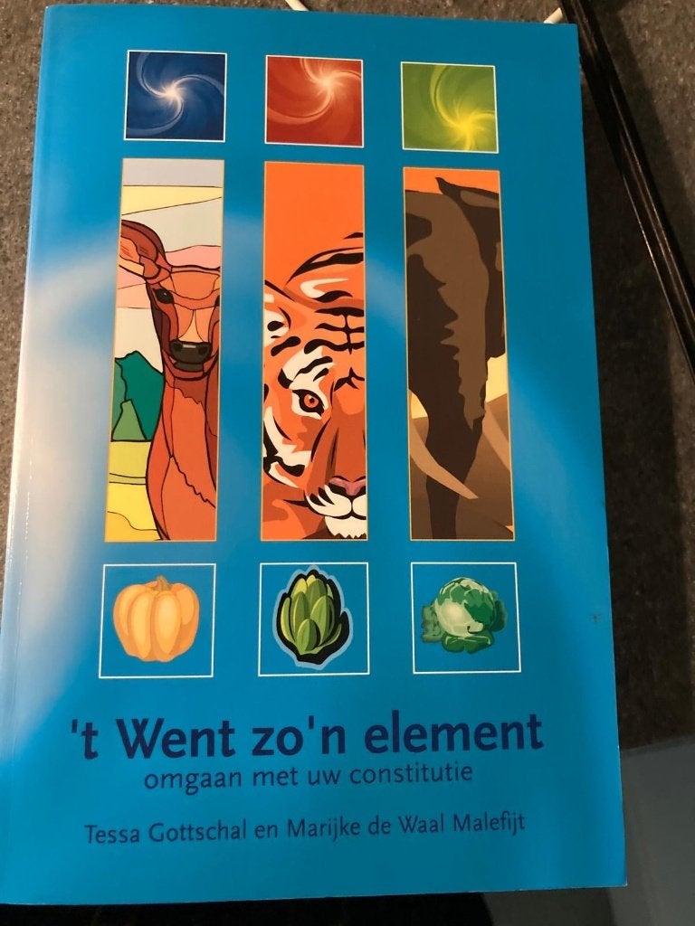 't went zo'n element, tessa Gottschal, marijke de waal, Boeken, Chicklit, Ophalen of Verzenden, Zo goed als nieuw
