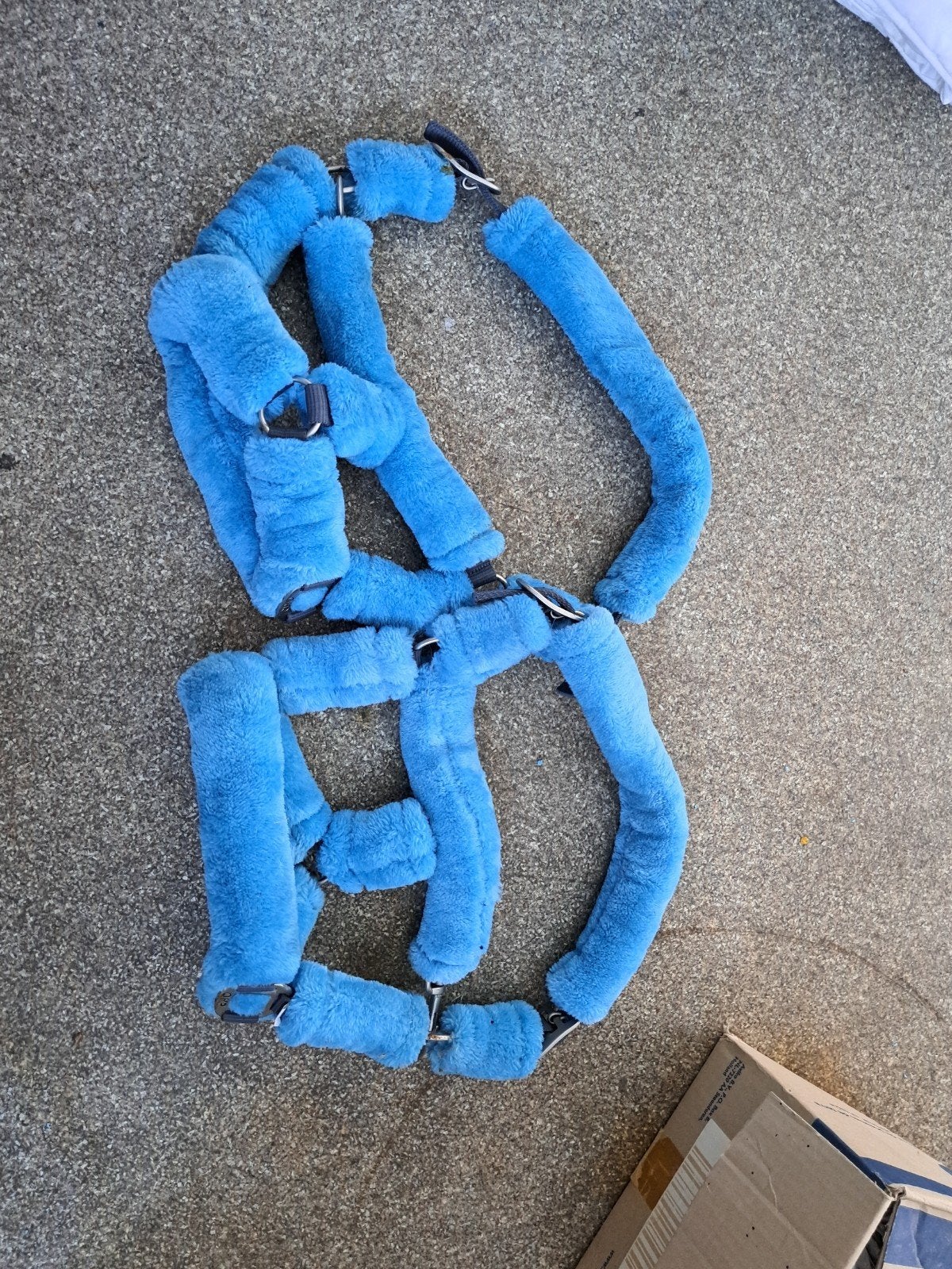 2 x Shetlander bont halster NIEUW, Shetlander, Ophalen of Verzenden, Met bont, Blauw