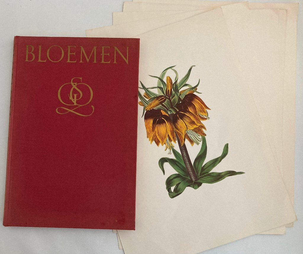 Bloemenboek + 9 reproducties bloemenprenten J.P. Redouté, Gelezen, Bloemen, Planten en Bomen, Verzenden, Zie  beschrijving