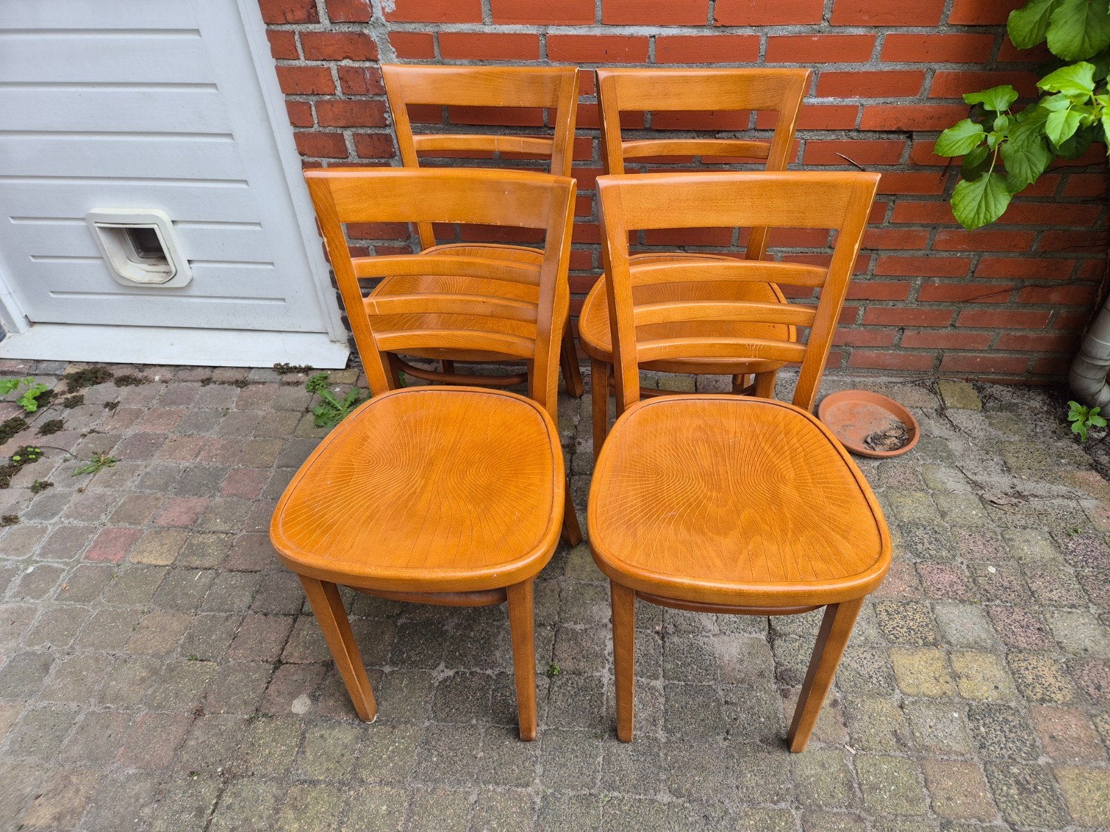 4 caféstoelen / eetkamerstoelen met lichte gebruikssporen, Ophalen, Gebruikt, Bruin, Vier