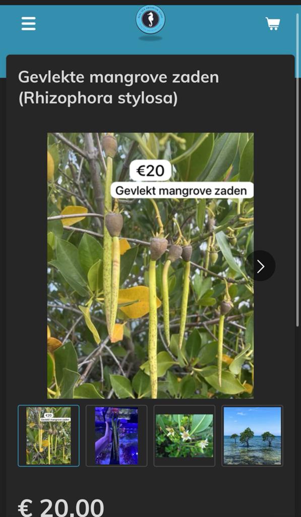 Gevlekte mangroven zaden, Overige typen, Zoutwatervis