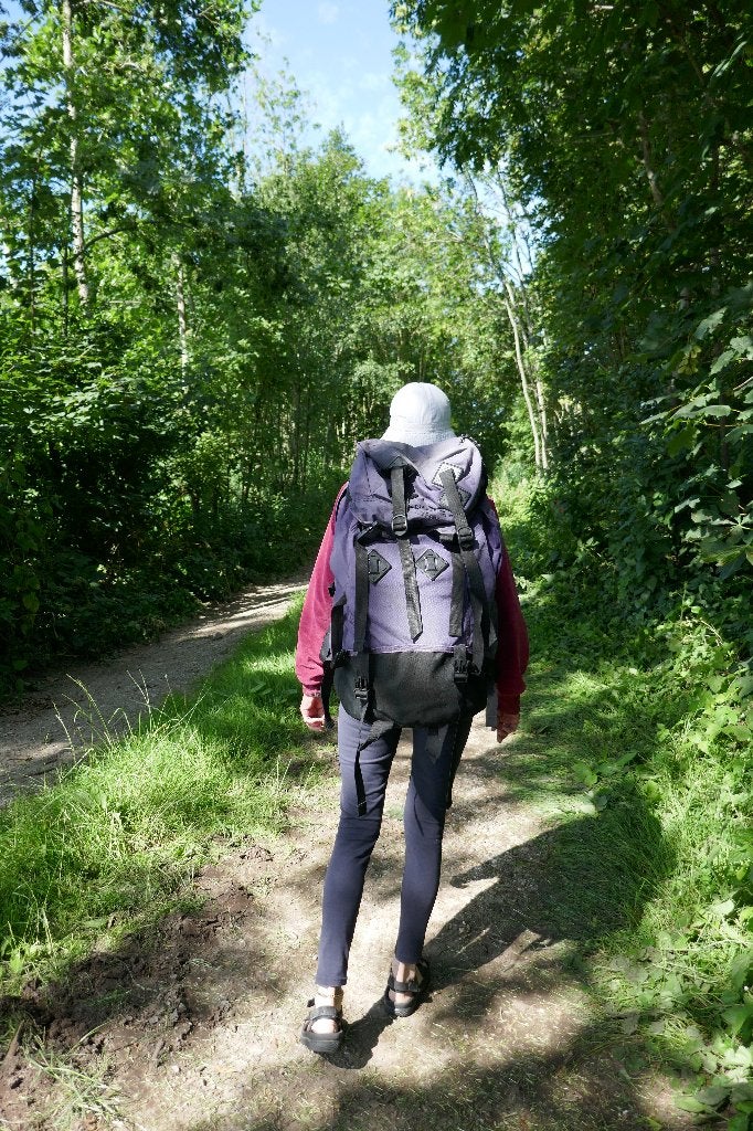 Trek rugzak dames, Ophalen of Verzenden, Gebruikt, Rugzak