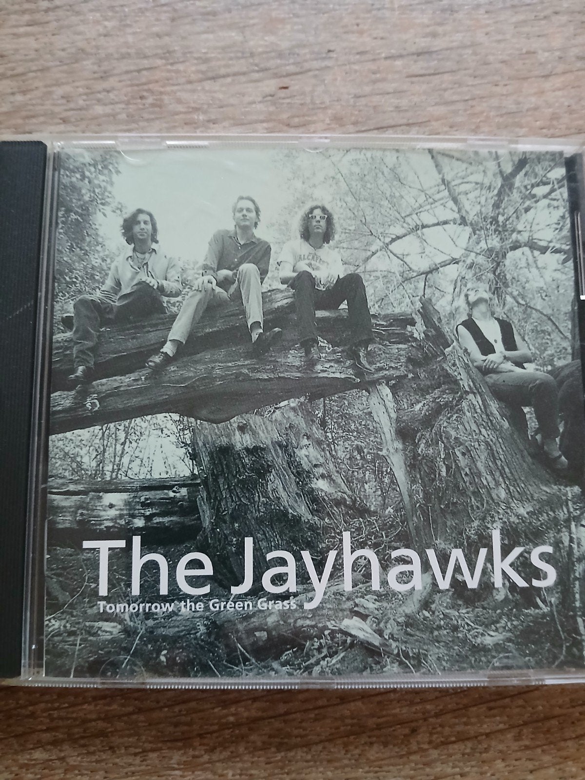 CD The Jayhawks - Tomorrow The Green Grass, Ophalen of Verzenden, Gebruikt, Poprock