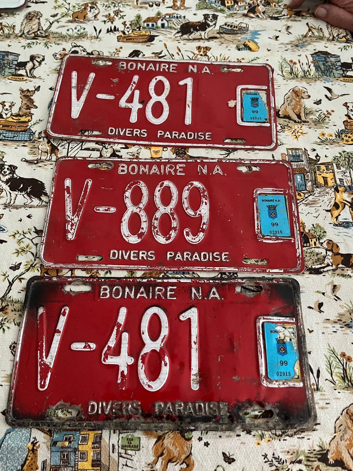 Bonaire kentekens - V-481 en V-889 - Divers Paradise, Ophalen of Verzenden, Gebruikt
