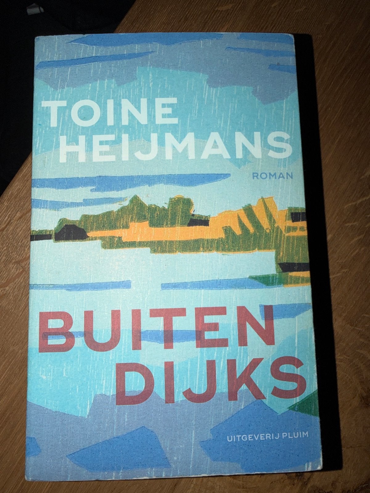 Z0.  Toine Heijmans - Buitendijks, Boeken, Ophalen of Verzenden, Zo goed als nieuw, Toine Heijmans