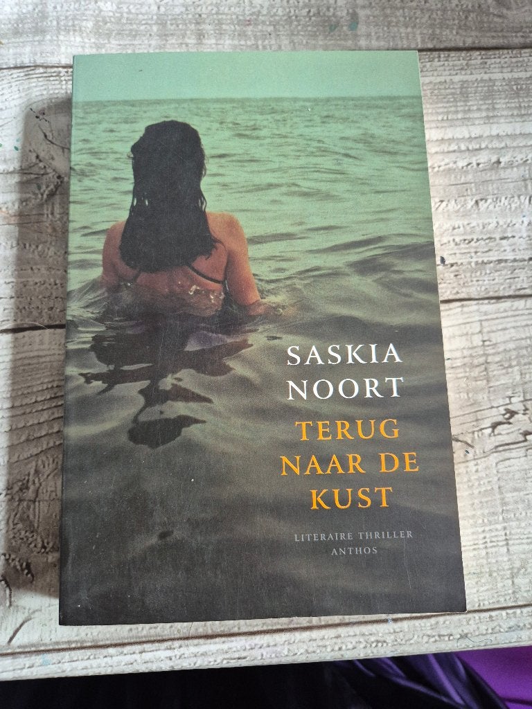 boek Terug naar de kust. Saskia Noort, Boeken, Thrillers, Zo goed als nieuw, Ophalen