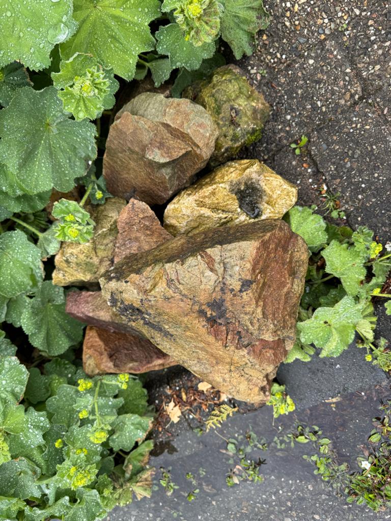 Gratis: Decoratieve Rotsen voor Tuin of Landschap, Ophalen, Overige materialen, Gebruikt, Kei