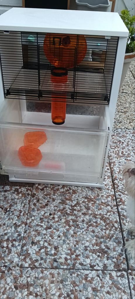 Omlet hamsterkooi kastje, Dieren en Toebehoren, Minder dan 60 cm, Kooi, Minder dan 75 cm, Ophalen of Verzenden