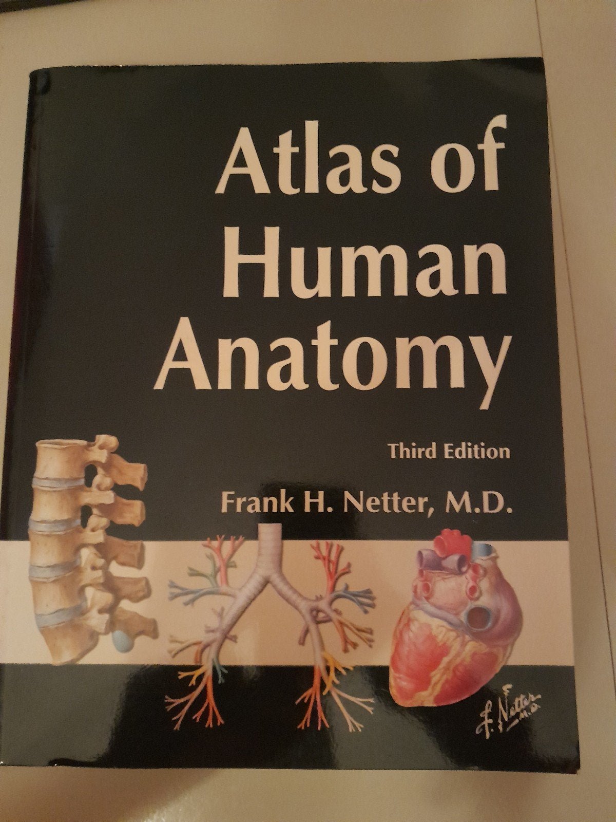 Atlas of Human Anatomy, 3th edition, Frank H.Netter, M.D., Verzenden, Zo goed als nieuw