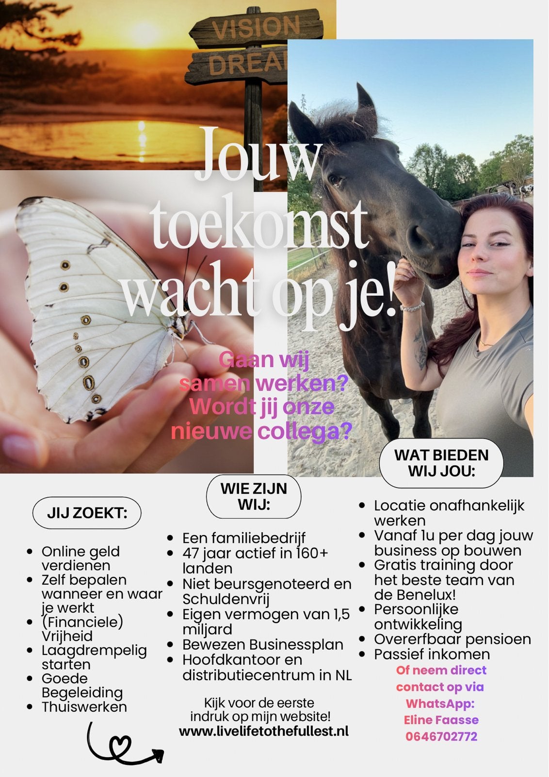 Nieuwe collega’s gezocht Thuiswerken, Overige niveaus, Starter, Overige vormen