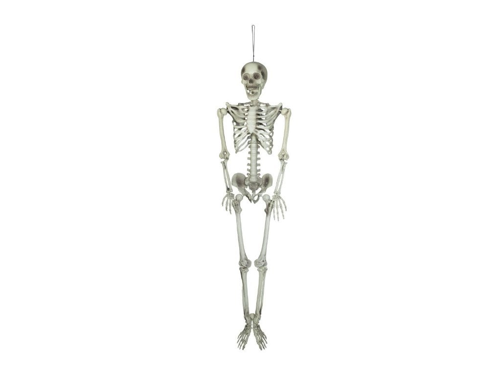 Europalms Halloween skelet 150 cm beweegbaar, Halloween of Griezel, ., Nieuw, Ophalen of Verzenden