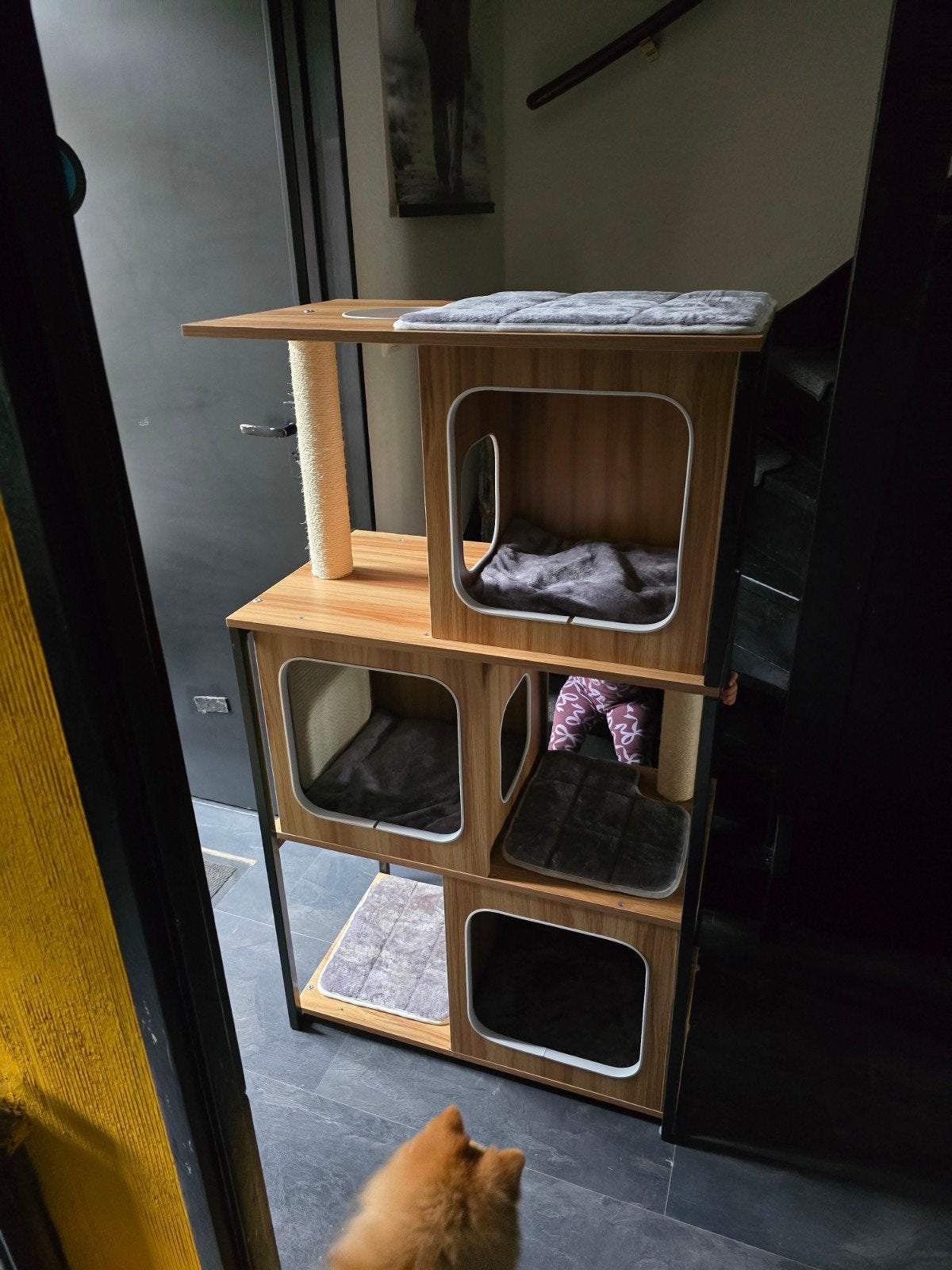 krabpaal kattenhuis, Ophalen, Nieuw, Overige