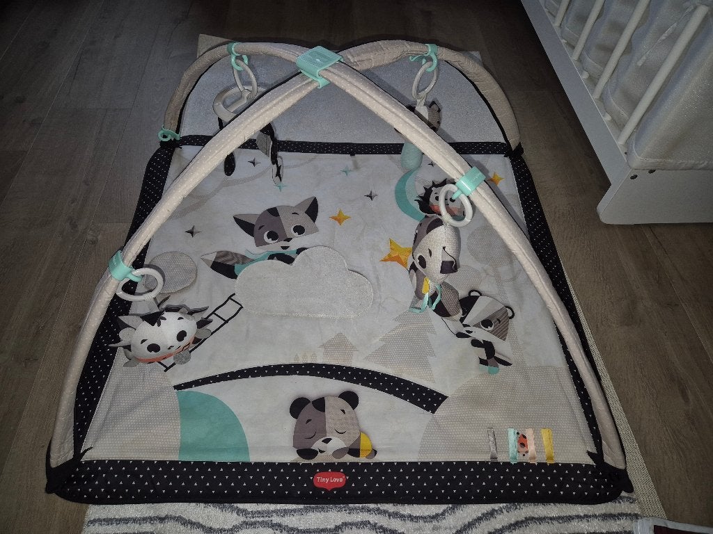 Tiny Love Speelkleed met Babygym, Ophalen of Verzenden, Gebruikt, Babygym