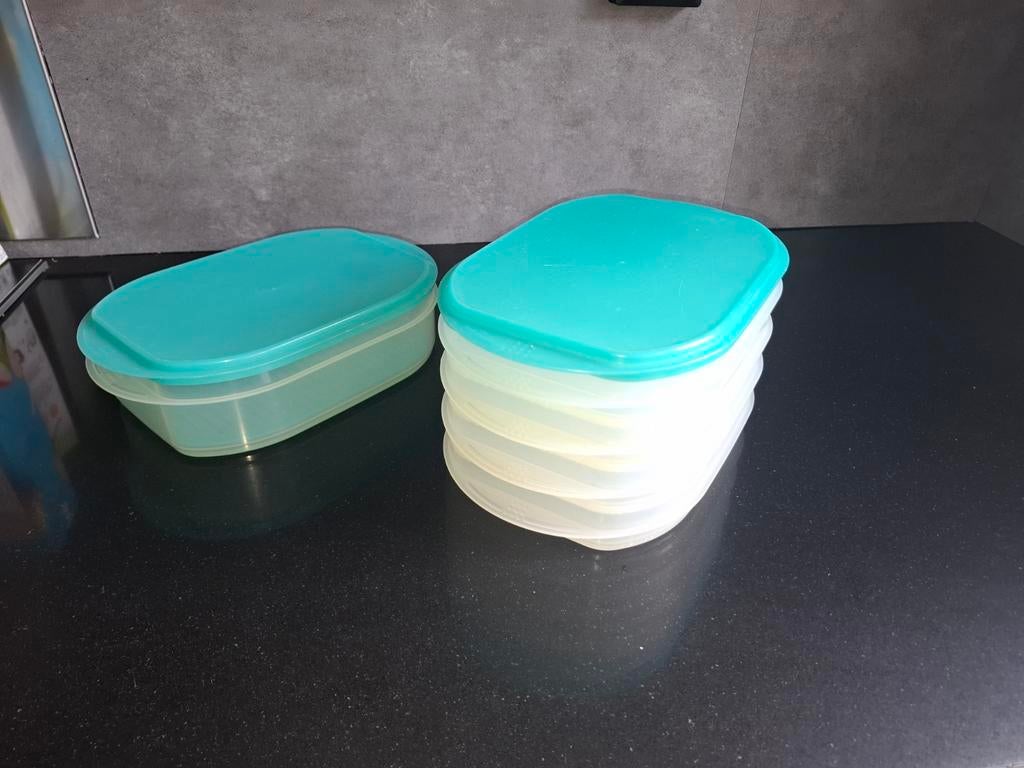 Tupperware vleeswaren en kaasdoos., Huis en Inrichting, Keuken | Tupperware, Ophalen, Schaal